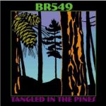 BR549 (à l‘origine orthographié BR5-49) est un groupe de country américain de musique. Fondée en 1993
